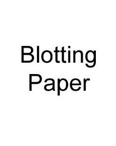 Blotting Paper