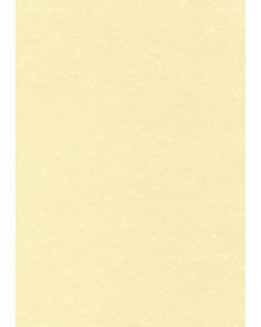 Decadry Champagne Parchment Paper & Card