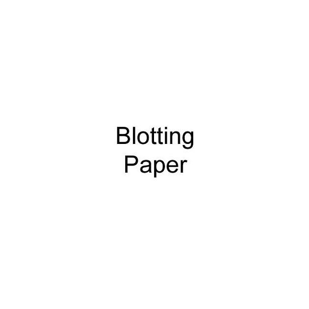 Blotting Paper