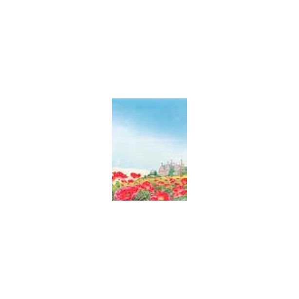 Decadry Illustration Landscape Classic Collection - Poppy Garden