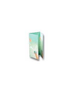 Decadry 3 Fold Event Cards, A4 folded size: 100x210mm 135gsm, Champagne, Pack of 14 Cards 