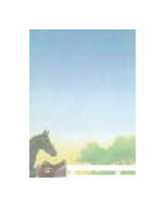 Decadry Illustration Sports Classic Collection - Horse